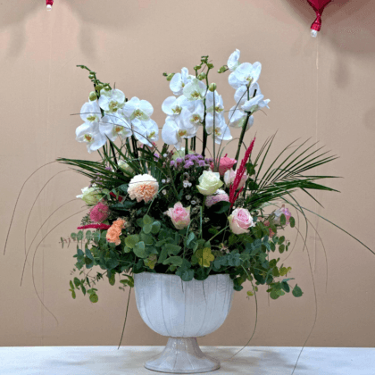 Elite Orchid Six – Orkide Aranjmanı | Bornova Çiçekçilik